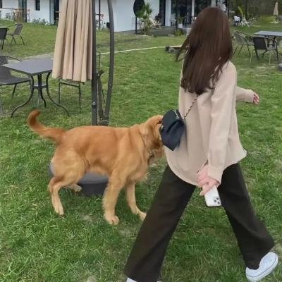 风暴克星